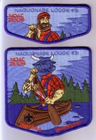 Orcder Of The Arrow Naguonabe Lodge Patch